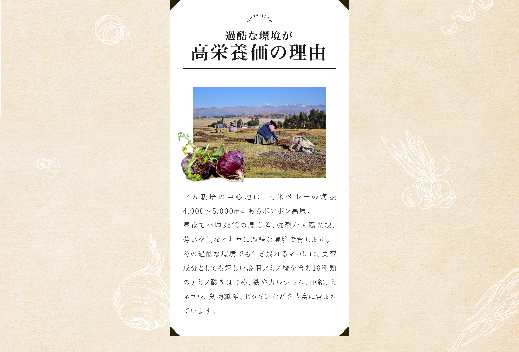 過酷な環境が高栄養価の理由