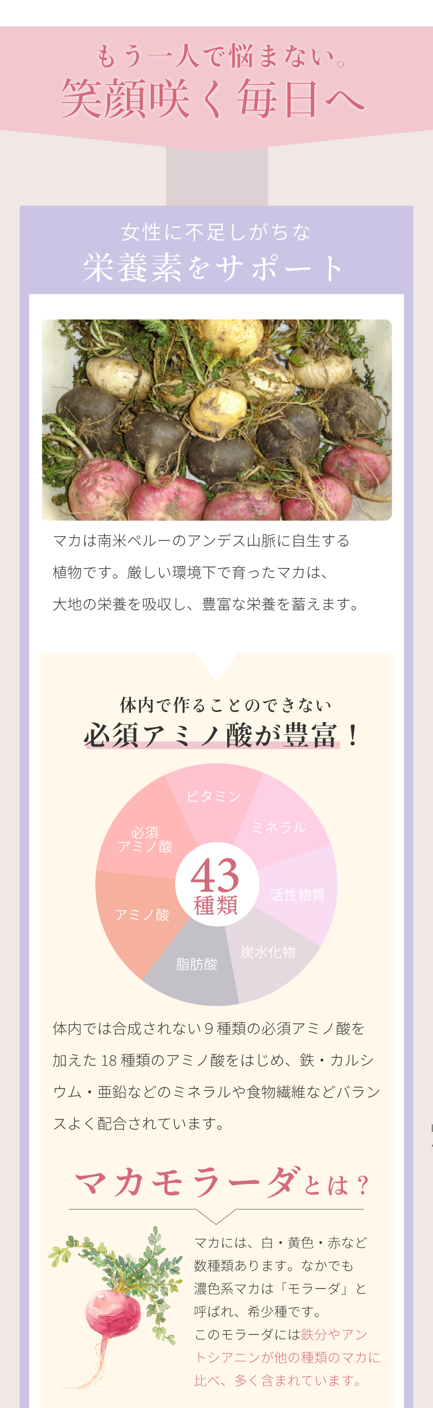 マカモラーダの栄養素