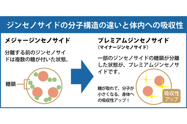 プレミアム高麗人参マカ 30粒／1袋 | バイオサプリ